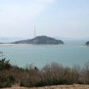 서부해안로(안치) 이미지