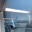 대감이동갈비 | '25 ~ Love in Jeju 🧣🧤❄️