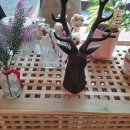 신월동002 이미지