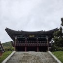 철비거북좌대 | 여수 진남관