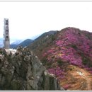 제48차 4월17일 전남여수 ``영취산`` 진달래꽃 산행안내 이미지