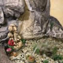 다윈 | 강서구 분위기 좋은 레스토랑, 다윈레스토랑 방문 후기