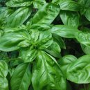 큰뜰농장 이미지