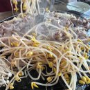 감골오리 이미지