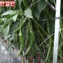 포천농약사 이미지