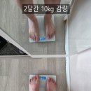 신타 | [내돈내산]신타6 아이솔레이트 초코맛 후기｜운동 후 2주 사용한 단백질보충제