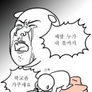 강릉참치 이미지