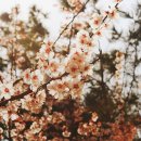 우리들의자리 이미지