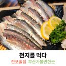 천지 | 부산 전포술집 현지인 로컬맛집 천지를먹다 드디어 가본후기