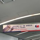 참길팜 | 후쿠오카 당일치기 여행 (부제: 메리지블루 안녕)