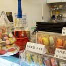 더마카롱 이미지