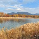 조정경기장 화장실(매점4동) | 가을 단풍명소 하남 미사조정경기장 주차비 자전거 매점