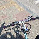 원주드림체육관 이미지