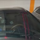 동두천 터틀 프렌즈 이미지