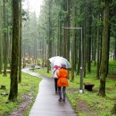 (주)신비로 이미지