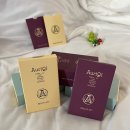 천궁헬스케어 | [내돈내산]블핑 지수, 혜리, 제니, 한가인 배우님도 이혈테라피로 건강하게