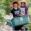 주연농장 이미지