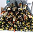 와룡성심지역아동센터 이미지