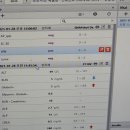 그린벨동물의료센터 네이버블로그