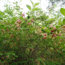 토요수채화 이미지