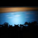 어린이 그림자극 피터와 늑대 이미지