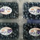 이상문농장 이미지