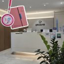 상무드림치과의원 | 임산부 스케일링 후기 l 적정 시기, 주의사항 및 마취 가능 여부, 준비물, 할인 코드, 비용