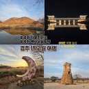 신라대학교 박물관 | 경주 1박2일 여행 코스 뚜벅이 금관총, 대릉원, 첨성대 등