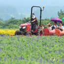 박지호농장 이미지