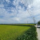 옥금리 마을회관 이미지