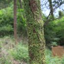 사량대항해수욕장 공중화장실 | 천천히 걷는 바다 풍경 산책(사량도 고동산 둘레길)