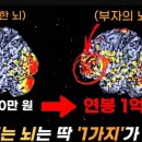 머니테라피 Daum카페