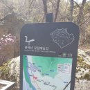 2026년4월8일(수)무장애길-하트-모자로-열녀암 8km 13,600보 이미지
