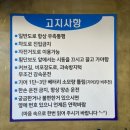 제주도 전기 스쿠터 대여 어디? 쓩쓩렌탈샵 월정점 후기