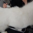 멍클스튜디오 이미지