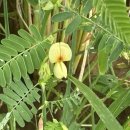 용연마을경로당 이미지