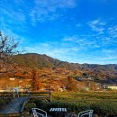 악양초등학교 | 하동 녹차밭 애견동반 카페 쌀쌀한 날씨 차 한잔 매암차문화박물관
