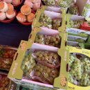 대산청과 이미지