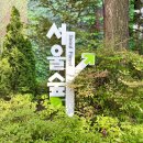6월 가볼만한곳 데이트코스로 좋은 서울숲 나들이 후기