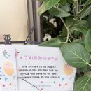 한아름산후조리원 | 한아름산후조리원 개포점 퇴소 하루 전날 작성하는 내돈내산 솔직후기