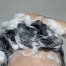 클로베이 이미지