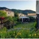 피츠로이가든 이미지