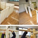 몰로디자인 이미지