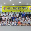 조선태권도장 네이버블로그