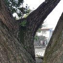 창원 합포성지 이미지