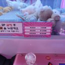 킹뽑기방 이미지