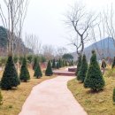 평림 세계타임즈