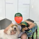 용봉로 | 🐶 진주 대형견 펜션 추천, 3번째 방문한 아요하우스 솔직후기
