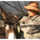 산두른마을 이미지