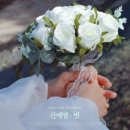 신예영 / 벗 (원key G) mr 이미지